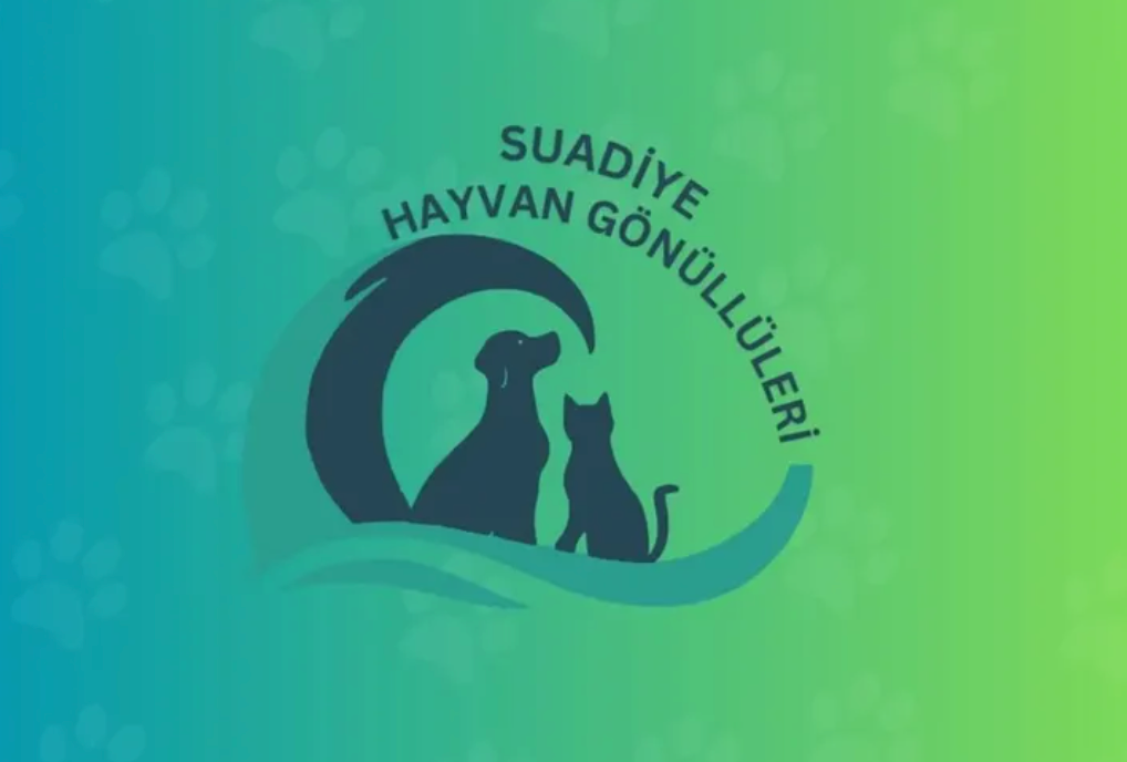 Suadiye ve Bostancı’da hayvanlar için mahalle dayanışması